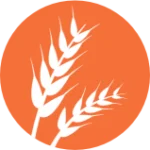 Contiene Gluten